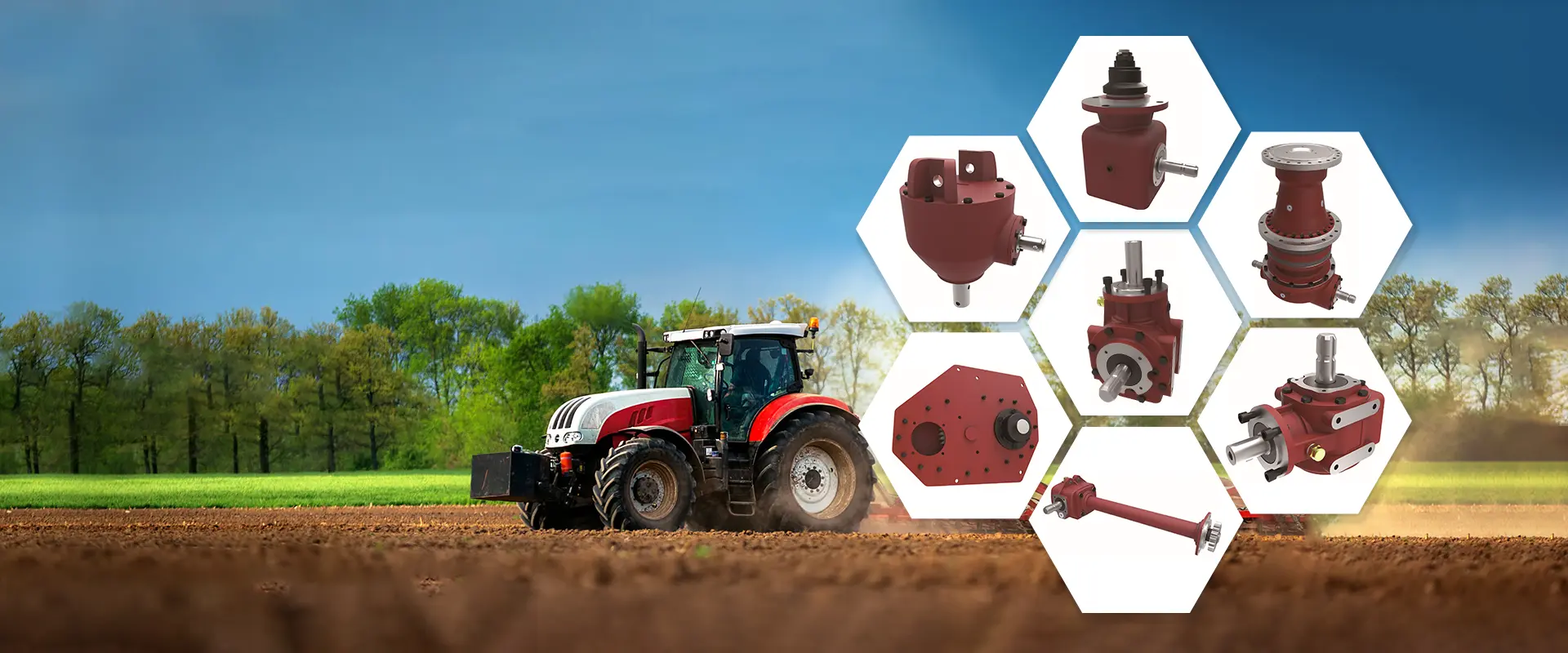 Produttore e fabbrica di cambio agricolo